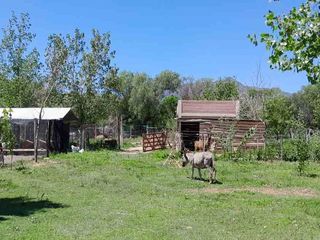 Foto 31 de VENTA CASA CON PILETA EN LUJAN SAN LUIS