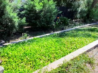 Foto 9 de VENTA CASA CON PILETA EN LUJAN SAN LUIS
