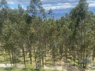 Foto 15 de DEPARTAMENTO DE VENTA EN MIRA LOMA SAN ISIDRO DEL INCA