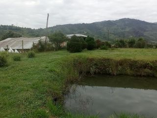 Foto 31 de FINCA EN VENTA  94 Hect, El Chaco