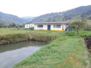 Foto 32 de FINCA EN VENTA  94 Hect, El Chaco