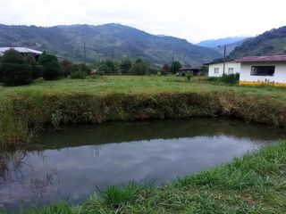 Foto 30 de FINCA EN VENTA  94 Hect, El Chaco
