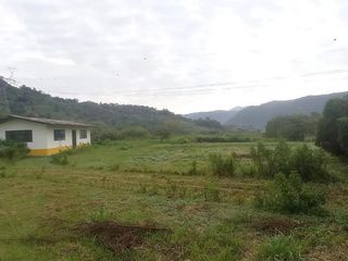 Foto 23 de FINCA EN VENTA  94 Hect, El Chaco
