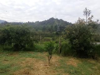 Foto 37 de FINCA EN VENTA  94 Hect, El Chaco