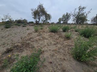 Foto 7 de POALO LATACUNGA FINCA EN VENTA 5000m2