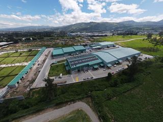 Foto 1 de RENTO BODEGAS EN PIFO