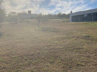 Foto 4 de Terreno en  La Arbolada
