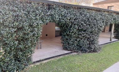 place photo 62
