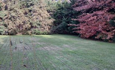 place photo 84