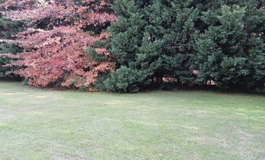 place photo 83