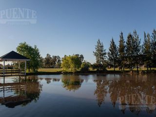 Foto 50 de Casa en Venta en San Eliseo Golf a estrenar
