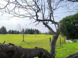 Foto 47 de Casa en Alquiler en San Isidro Labrador, Villanueva, Tigre, G.B.A. Zona Norte, Argentina