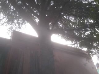 Foto 3 de excelente terreno/  MAS casa a  RECICLAR BOEDO