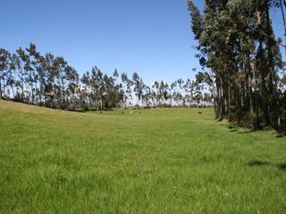 Foto 1 de Hacienda de venta en Pintag (3 Ha. a $12 c/m2)