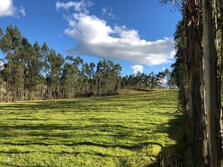 Foto 2 de Hacienda de venta en Pintag (3 Ha. a $12 c/m2)