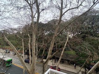 Foto 7 de Departamento en Botanico