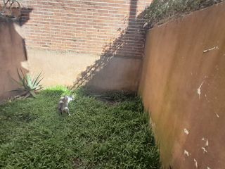 Foto 7 de Triplex de 4 amb, con cochera y patio