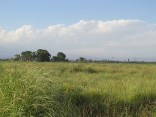 Foto 12 de Campo con vertiente en Venta Tunuyán Valle de Uco