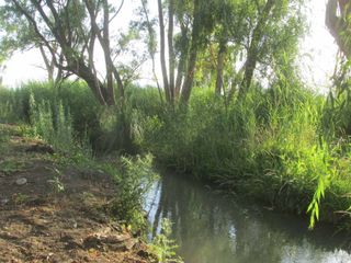 Foto 5 de Campo con vertiente en Venta Tunuyán Valle de Uco