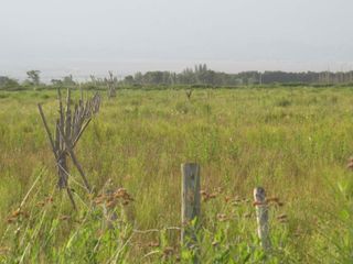 Foto 14 de Campo con vertiente en Venta Tunuyán Valle de Uco