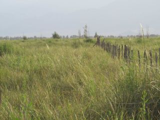 Foto 9 de Campo con vertiente en Venta Tunuyán Valle de Uco
