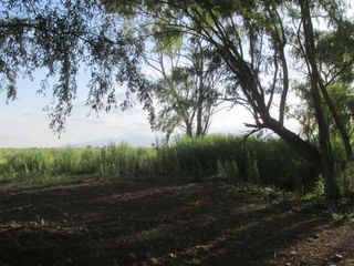 Foto 6 de Campo con vertiente en Venta Tunuyán Valle de Uco