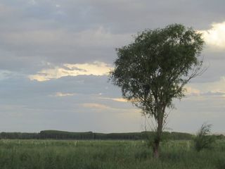 Foto 22 de Campo con vertiente en Venta Tunuyán Valle de Uco