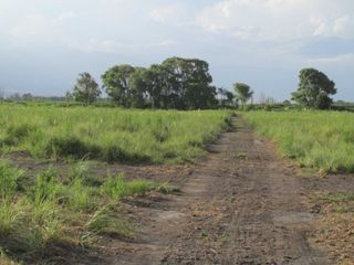 Foto 2 de Campo con vertiente en Venta Tunuyán Valle de Uco