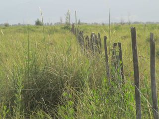 Foto 10 de Campo con vertiente en Venta Tunuyán Valle de Uco