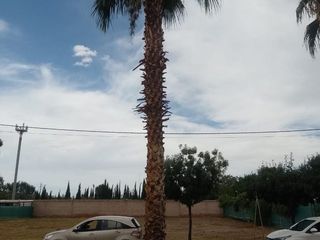 Foto 9 de LOTE SOL ANDINO 1
