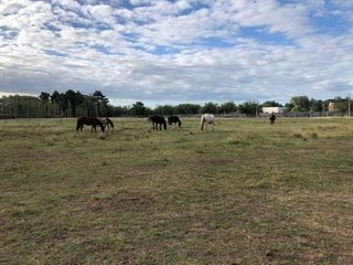 Foto 9 de VENTA DE CHACRA EN ESTANCIA LAS MALVINAS