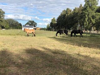Foto 10 de VENTA DE CHACRA EN ESTANCIA LAS MALVINAS