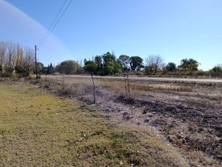 Foto 6 de REMAX VENDIMIA OFRECE FINCA EN SANTA ROSA