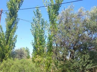 Foto 3 de VENTA DE LOTE  DE  1000 m2  EN RODEO DEL MEDIO