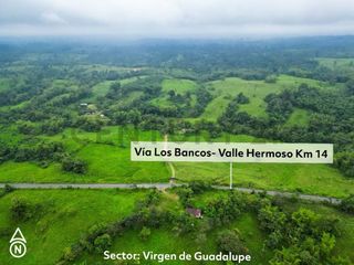 Foto 30 de En Venta Finca de 138 hectáreas, Vía Los Bancos Valle hermoso km 14