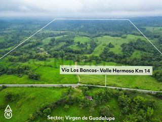 Foto 1 de En Venta Finca de 138 hectáreas, Vía Los Bancos Valle hermoso km 14