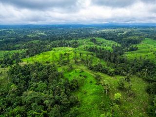 Foto 16 de En Venta Finca de 138 hectáreas, Vía Los Bancos Valle hermoso km 14