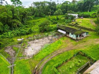 Foto 15 de En Venta Finca de 138 hectáreas, Vía Los Bancos Valle hermoso km 14