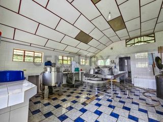 Foto 22 de En Venta Finca de 138 hectáreas, Vía Los Bancos Valle hermoso km 14