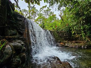 Foto 25 de En Venta Finca de 138 hectáreas, Vía Los Bancos Valle hermoso km 14