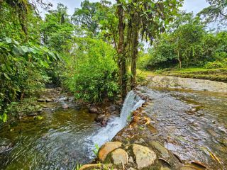 Foto 23 de En Venta Finca de 138 hectáreas, Vía Los Bancos Valle hermoso km 14