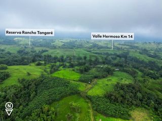 Foto 5 de En Venta Finca de 138 hectáreas, Vía Los Bancos Valle hermoso km 14