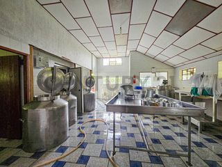 Foto 21 de En Venta Finca de 138 hectáreas, Vía Los Bancos Valle hermoso km 14