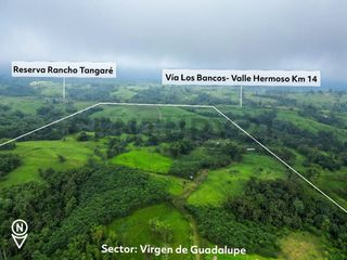 Foto 28 de En Venta Finca de 138 hectáreas, Vía Los Bancos Valle hermoso km 14