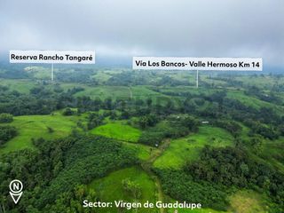 Foto 29 de En Venta Finca de 138 hectáreas, Vía Los Bancos Valle hermoso km 14