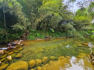 Foto 17 de En Venta Finca de 138 hectáreas, Vía Los Bancos Valle hermoso km 14
