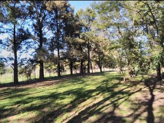 Foto 4 de Campo tipo Chacra en Brandsen