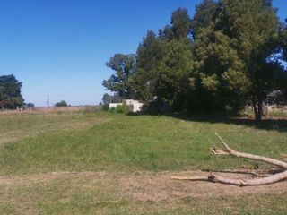 Foto 3 de LOTE EN VENTA EN RUTA 2, CORONEL BRANDSEN