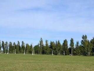 Foto 4 de Terreno en venta - 780Mts2 - Canning