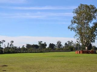 Foto 3 de Terreno en venta - 780Mts2 - Canning